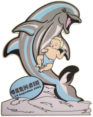 
 geboorteaandenken dolfijn jongen