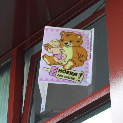 v-bord beer op raam